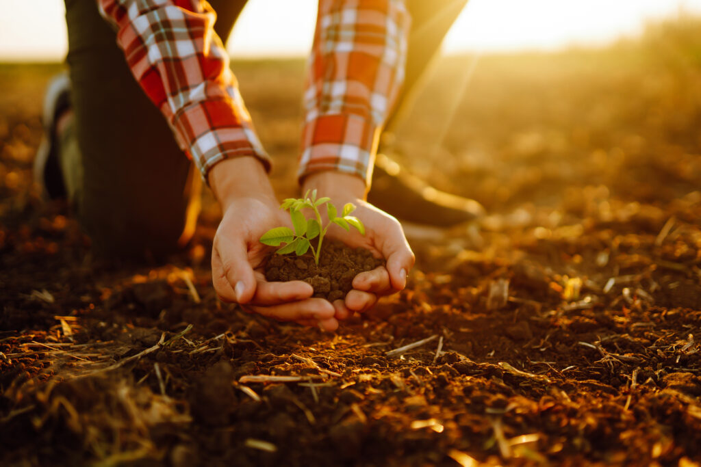 Empresas de agronegócio estão unindo os cuidados com o meio ambiente a certificação; entenda