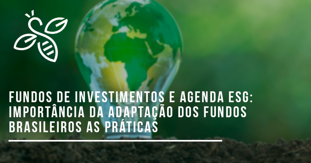 Fundos de investimentos e agenda ESG: importância da adaptação dos fundos brasileiros as práticas