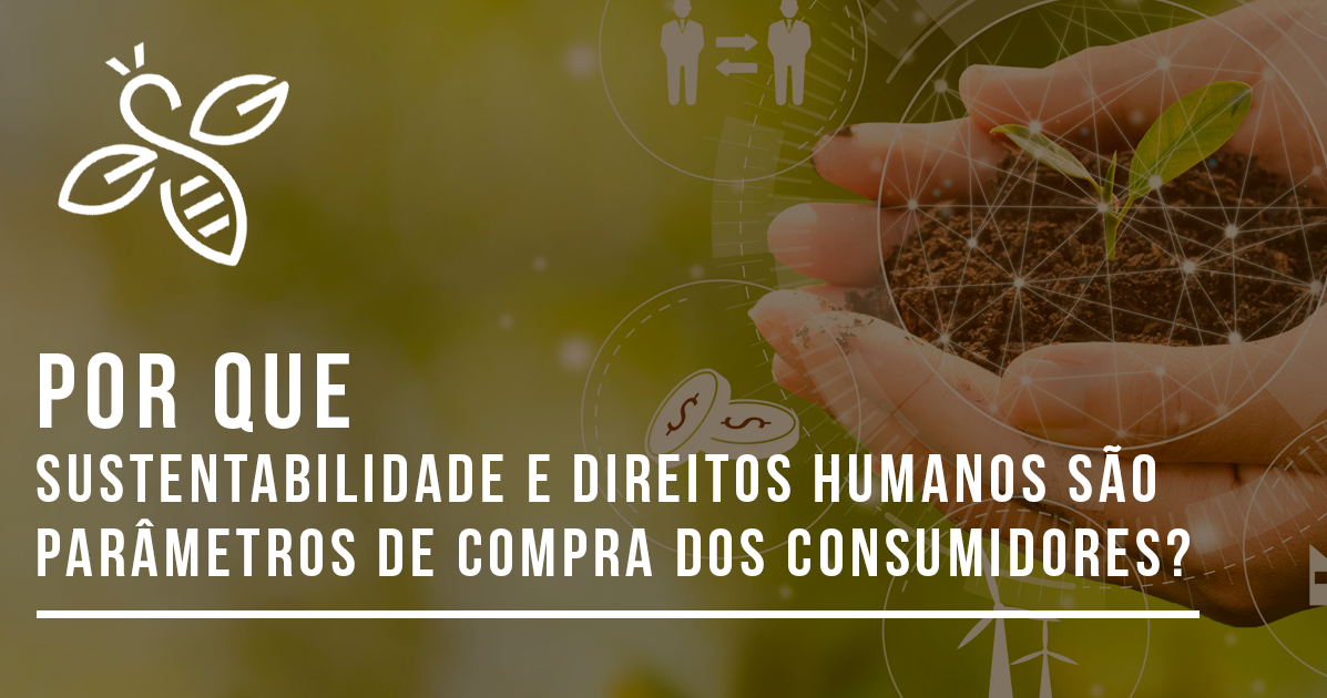 Por que sustentabilidade e direitos humanos são parâmetros de compra dos consumidores?