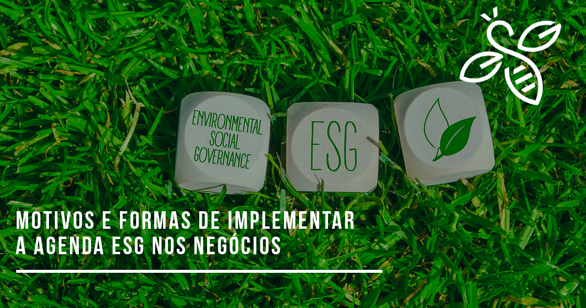 Motivos e formas de implementar a agenda ESG nos negócios