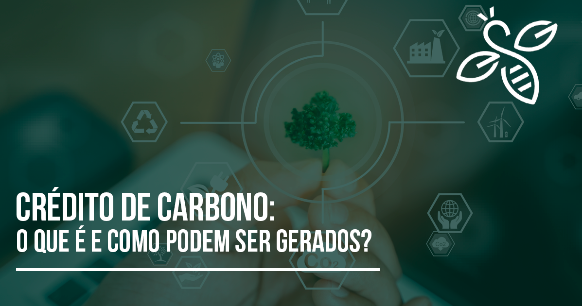 Crédito de carbono: o que é e como podem ser gerados?