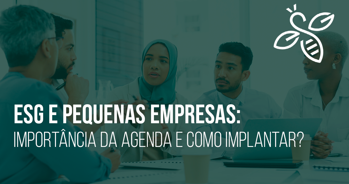 ESG e pequenas empresas: importância da agenda e como implantar?