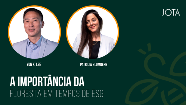 A importância da floresta em tempos de ESG